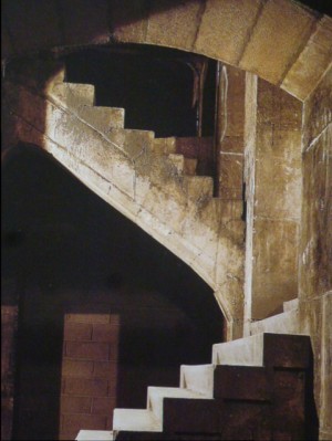 Photo Jacques Moatti extraite de l'excellent "L'Opéra de Paris", éditions Adam Biro, 1987.