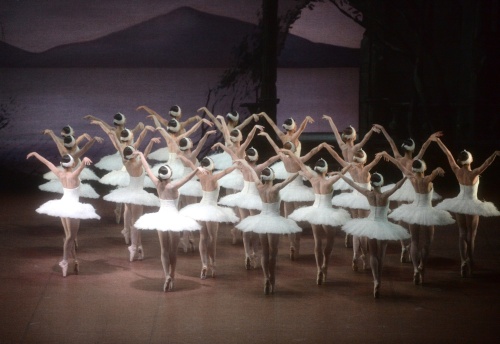 Ensemble in Swan Lake, © Stuttgart Ballet